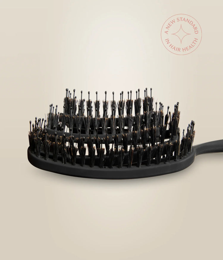 Structure flexible brevetée de la brosse Stellar OmniFlex