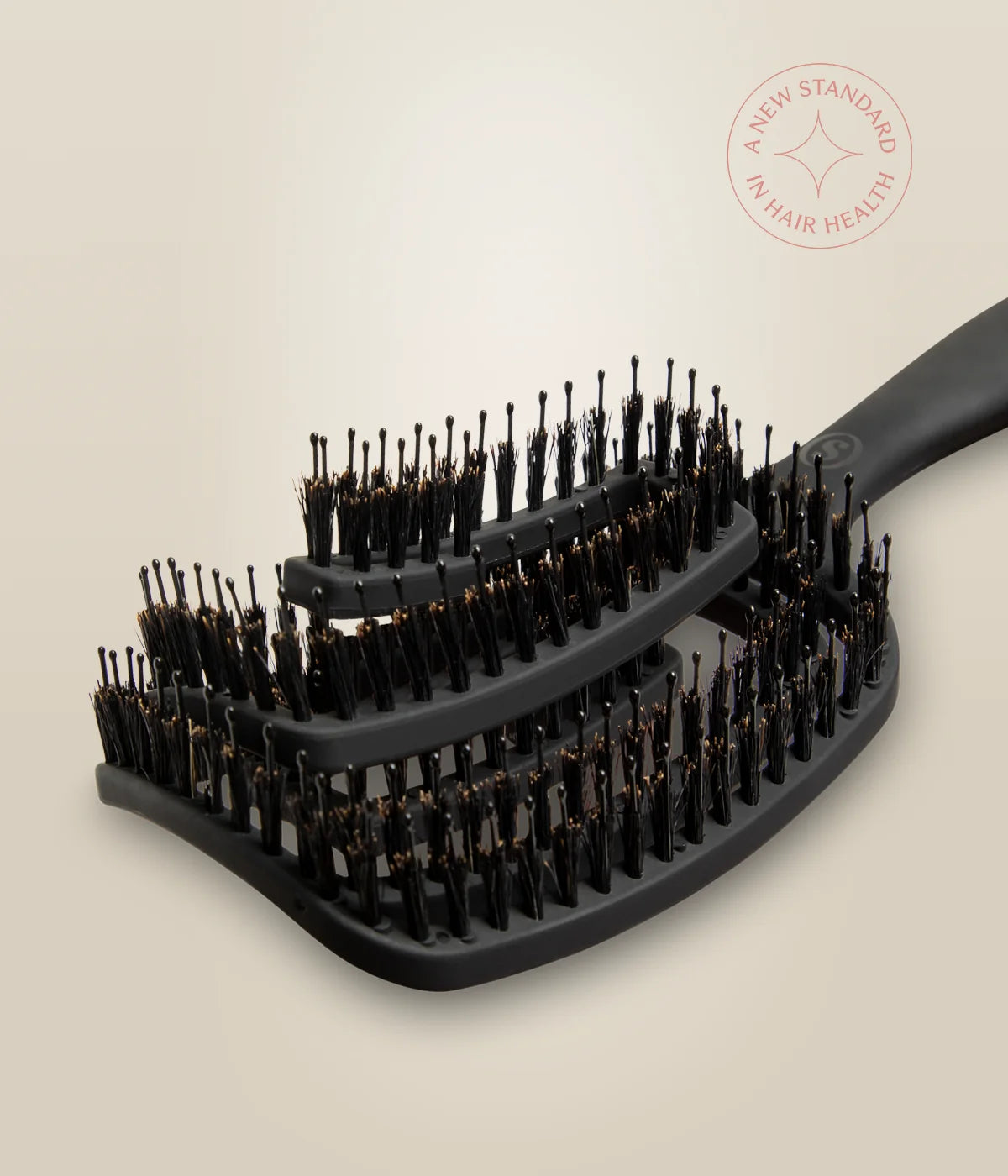 Gros plan sur les poils de sanglier et picots nylon de la brosse OmniFlex