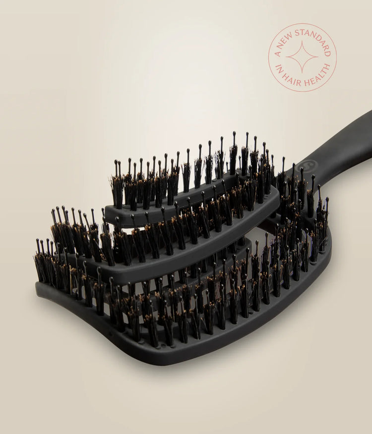 Gros plan sur les poils de sanglier et picots nylon de la brosse OmniFlex